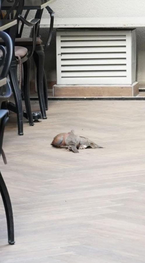 Keten Taksim Apart Otel 4*